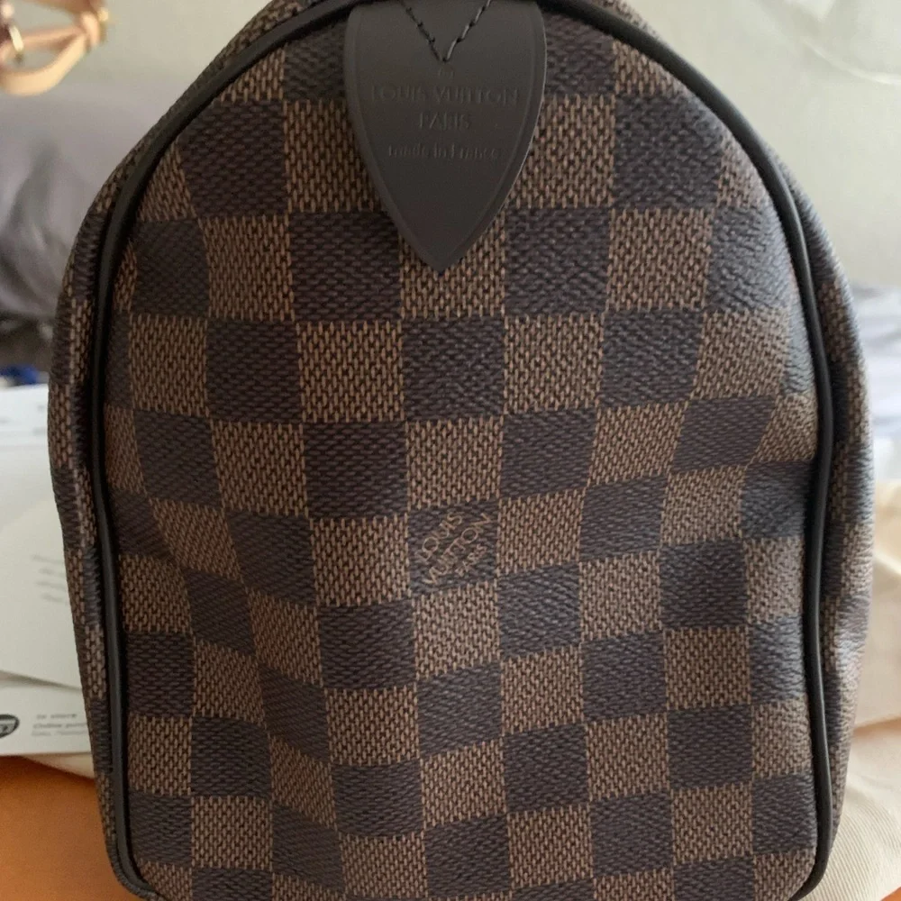 Louis Vuitton classic louis